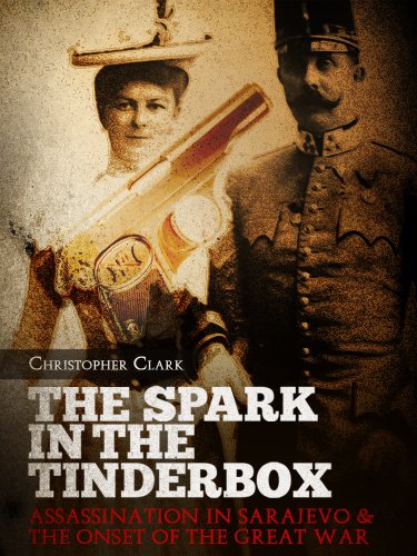 The Spark in the Tinderbox book cover