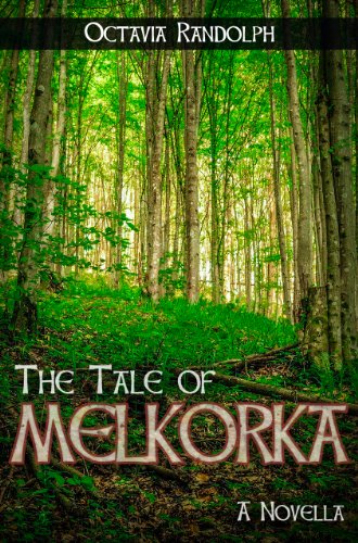 The Tale of Melkorka book cover