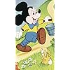 ディズニー - ミッキーマウス iPhoneSE/5s/5c/5(640×1136)壁紙 313075