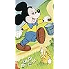 ミッキーマウス ディズニー - ミッキーマウス QHD(540×960)壁紙 318020