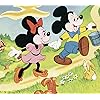 ミニーマウス,ミッキーマウス ディズニー - ミニーマウス,ミッキーマウス QHD(1080×960) 304177
