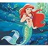 アリエル(Ariel) ディズニー - アリエル(Ariel) Android(960×854)待ち受け 305406