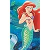 アリエル(Ariel) ディズニー - アリエル(Ariel) FVGA(480×800)壁紙 305926
