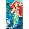 アリエル(Ariel) ディズニー - アリエル(Ariel) XFVGA(480×854)壁紙 310434