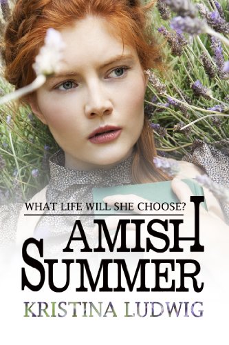 Amish Summer book cover