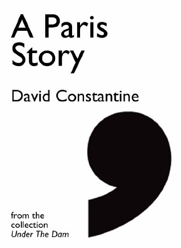 A Paris Story (By: David Constantine) cover