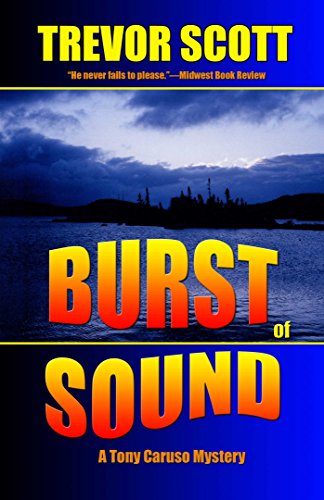 Burst of Sound book cover