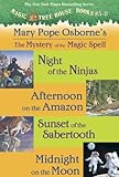 Mystery Of The Magic Spells Magic Tree House R Book 2 English Edition