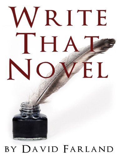 Write That Novel! book cover