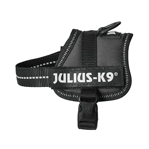 Julius-K9 Welpengeschirr