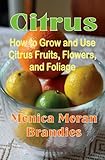 Citrus How To Grow And Use Citrus Fruits Flowers And Foliage English Edition