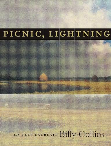Picnic, Lightning book cover