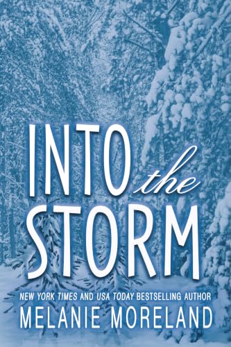 Into The Storm book cover