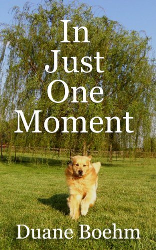 In Just One Moment book cover