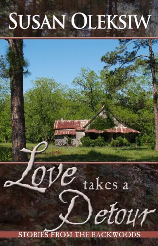 Love Takes a Detour book cover
