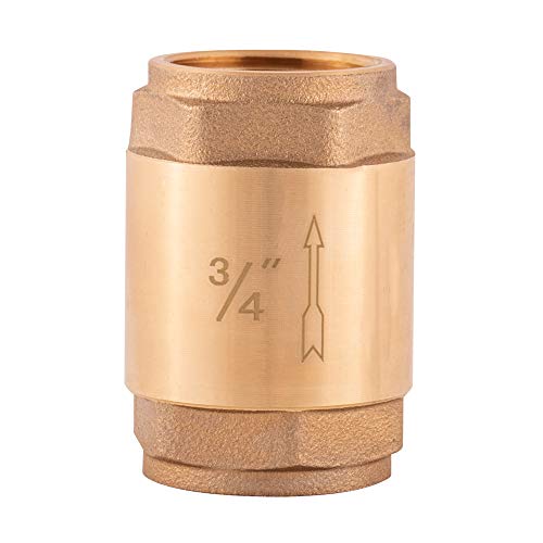 Eastman Brass In-Line Check Valve, 3/4 Inch IPS Threaded Connection, Stainless Steel Spring, 20403LF