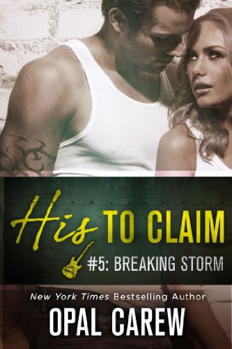 Breaking Storm cover