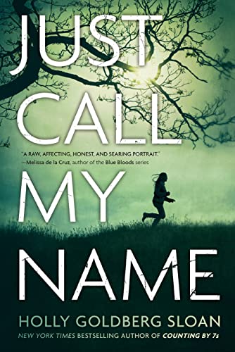 Just Call My Name book cover