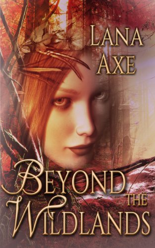 Beyond the Wildlands book cover