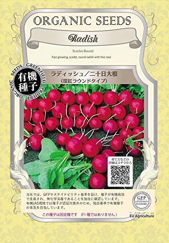初心者におすすめな家庭菜園の野菜・人気投票&ランキング 3位 ラディッシュ/二十日大根の画像