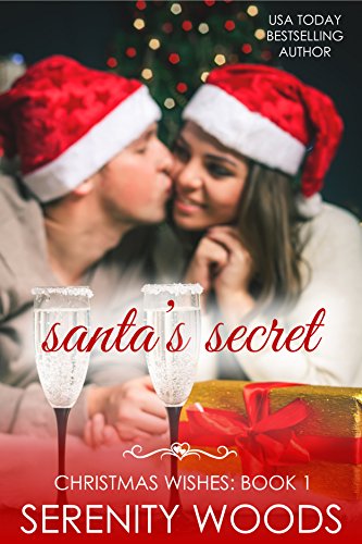 Santa's Secret book cover