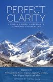 Perfect Clarity English Edition