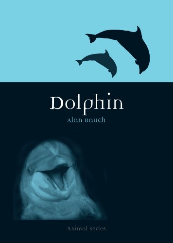 Dolphin book cover