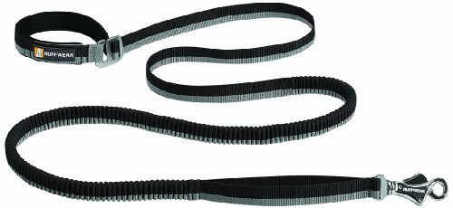 Ruffwear Roamer dog leash showing reflective trim along the webbing for low-light walks