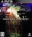 NATURAL DOCTRINE版