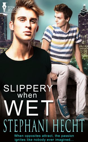 Slippery When Wet (By: Stephani Hecht) cover