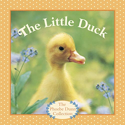 The Little Duck (By: Judy Dunn) cover