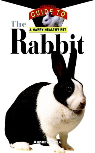 The Rabbit (By: Audrey Pavia) cover