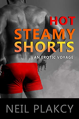 Hot Steamy Shorts book cover