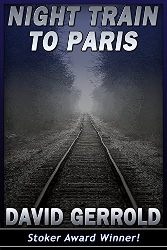 Night Train To Paris book cover