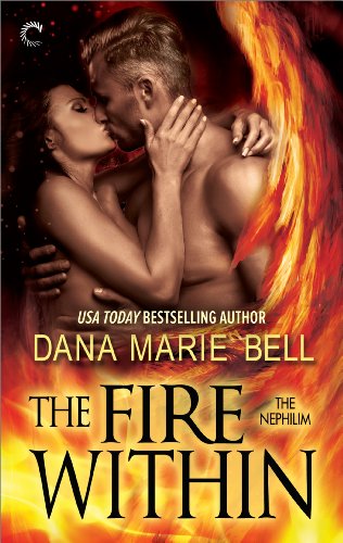The Fire Within book cover