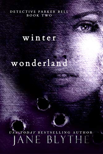 Winter Wonderland book cover