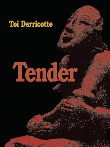Tender book cover