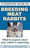 A Complete Guide To Breeding Meat Rabbits What To Expect When Your Rabbit Is Expecting English Edition