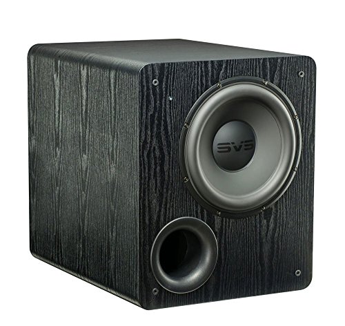 SVS 500-Watt Subwoofer