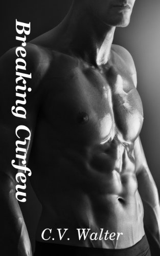 Breaking Curfew book cover