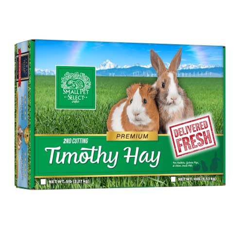 Small Pet Select 2nd Cutting Timothy Hay
