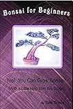 Bonsai For Beginners English Edition