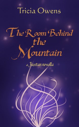 The Room Behind the Mountain book cover