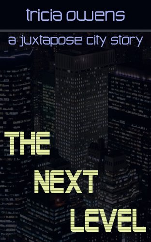 The Next Level book cover