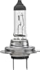 HELLA H7 Standard Halogen Bulb