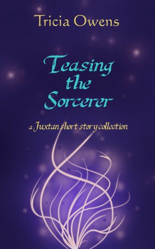 Teasing the Sorcerer book cover