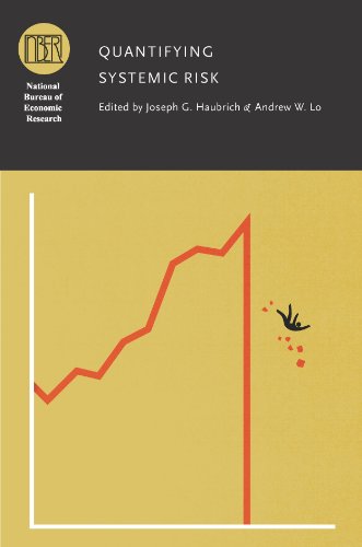 Quantifying Systemic Risk book cover