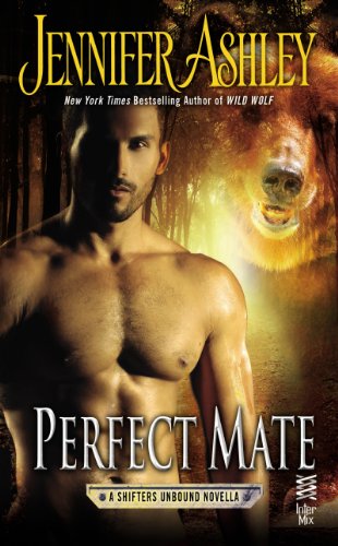 Perfect Mate book cover