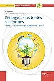 L'energie Sous Toutes Ses Formes Tome I : Comment Se Transforme T Elle