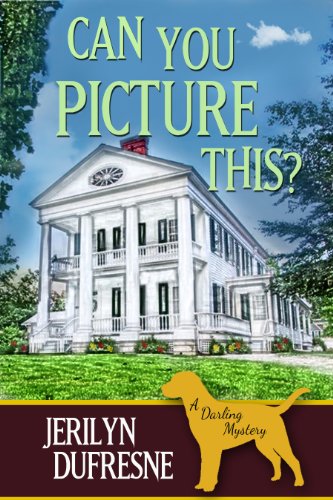 Can You Picture This? book cover